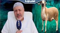 الأضحية تقرب لله في يوم العيد